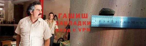 прущие грибы Волоколамск