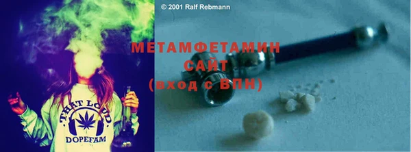 прущие грибы Волоколамск