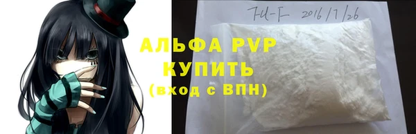 прущие грибы Волоколамск