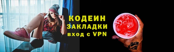 прущие грибы Волоколамск