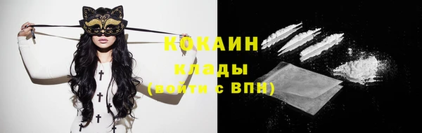 прущие грибы Волоколамск