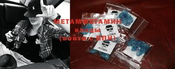 прущие грибы Волоколамск