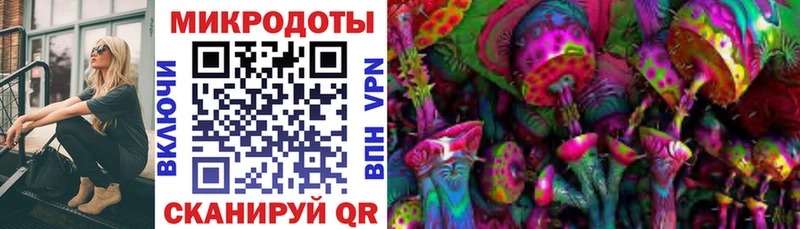 Псилоцибиновые грибы мицелий Хабаровск