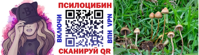 цены Хабаровск Псилоцибиновые грибы мицелий